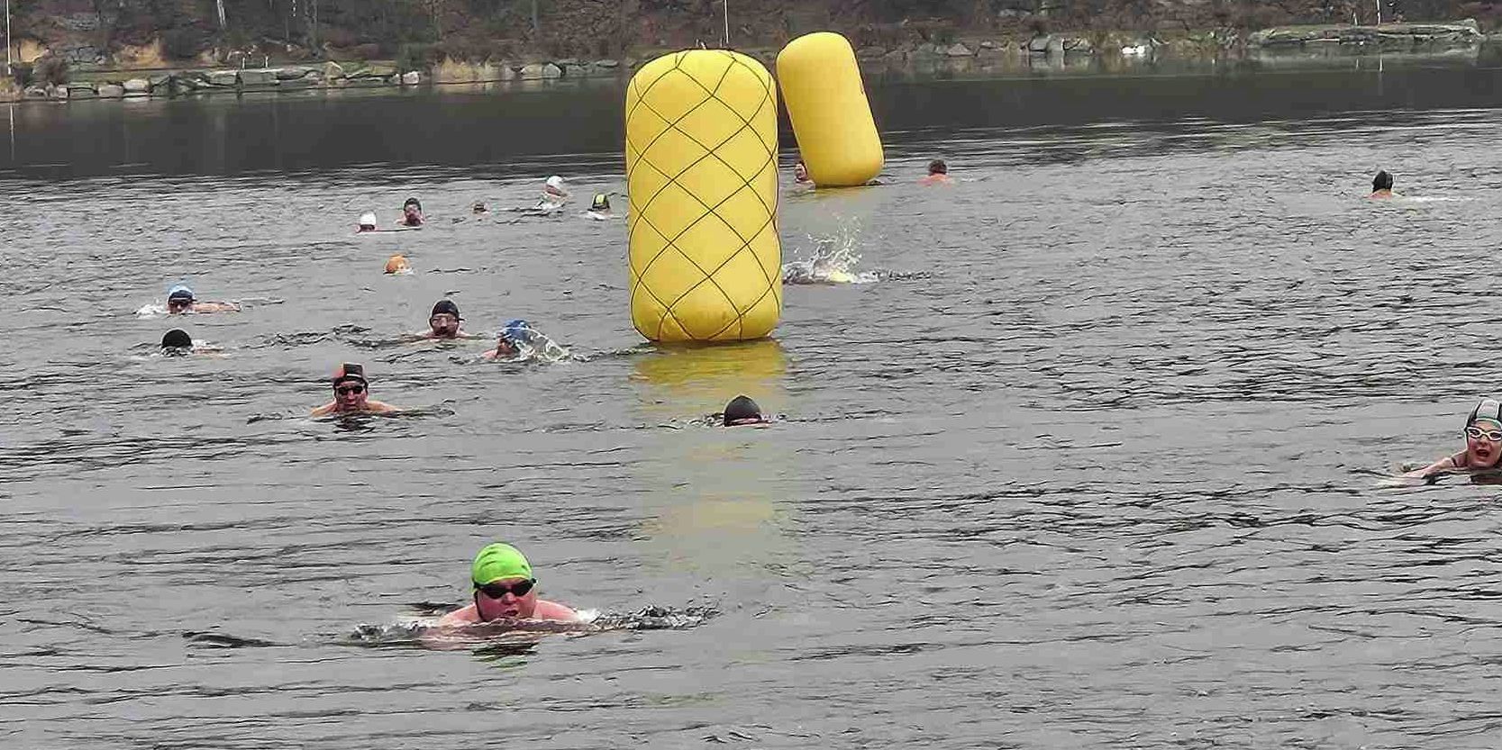 Úvodní fotka